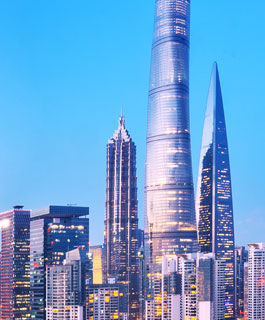 專業的團隊